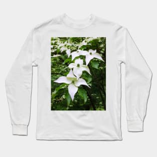 Pointed Dogwood Blossom Long Sleeve T-Shirt